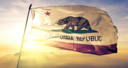 guide to filing bankruptcy in california